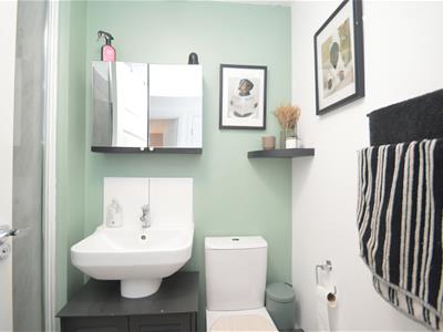 Picture 11